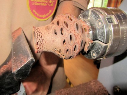 A pomander using a banksia nut